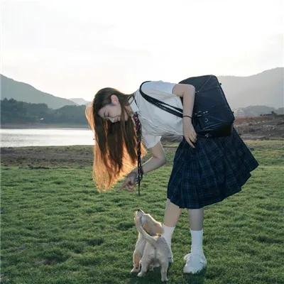 房车奇遇海报